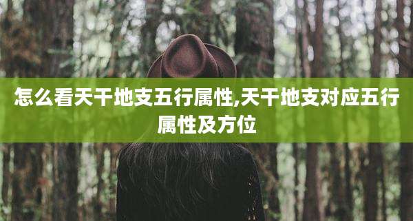 怎么看天干地支五行属性,天干地支对应五行属性及方位
