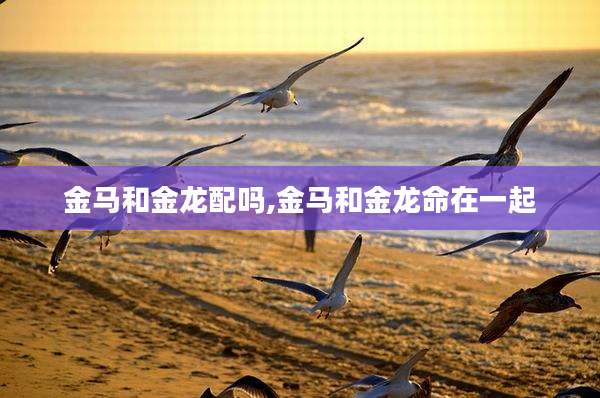 金马和金龙配吗,金马和金龙命在一起