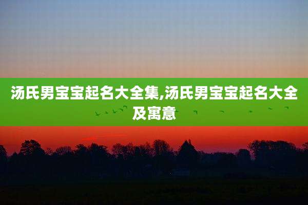 汤氏男宝宝起名大全集,汤氏男宝宝起名大全及寓意