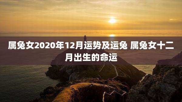 属兔女2020年12月运势及运兔 属兔女十二月出生的命运