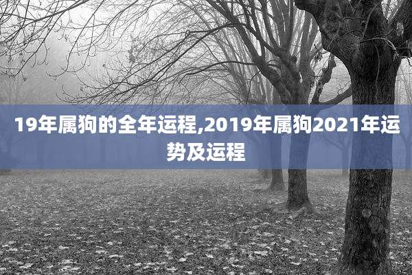19年属狗的全年运程,2019年属狗2021年运势及运程