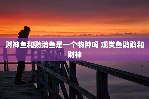 财神鱼和鹦鹉鱼是一个物种吗 观赏鱼鹦鹉和财神