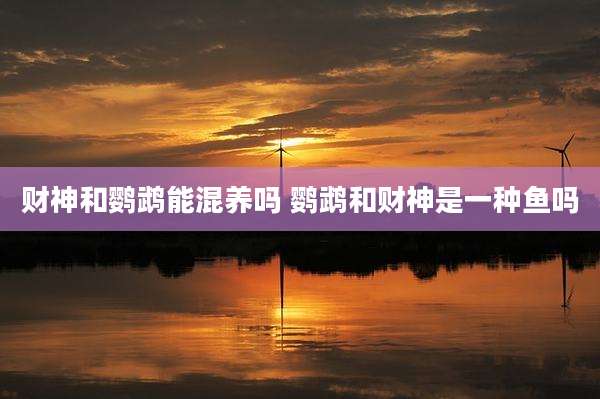 财神和鹦鹉能混养吗 鹦鹉和财神是一种鱼吗