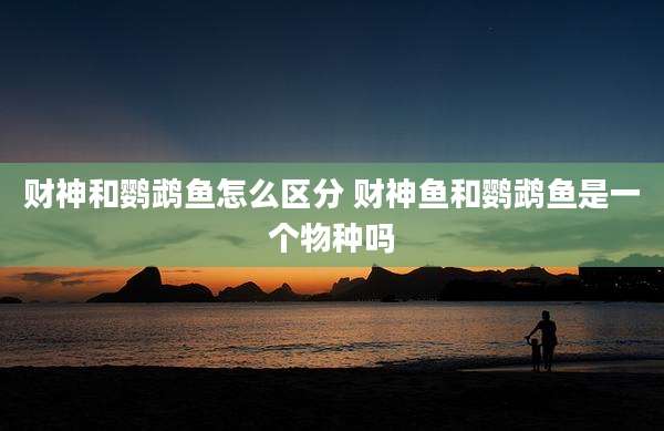 财神和鹦鹉鱼怎么区分 财神鱼和鹦鹉鱼是一个物种吗