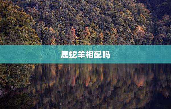 属蛇羊相配吗