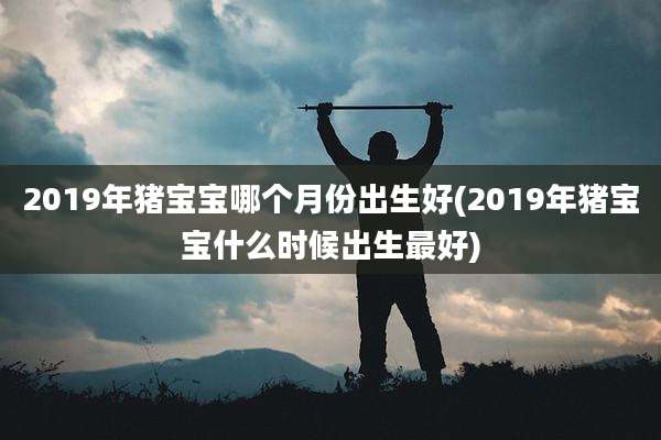 2019年猪宝宝哪个月份出生好(2019年猪宝宝什么时候出生最好)