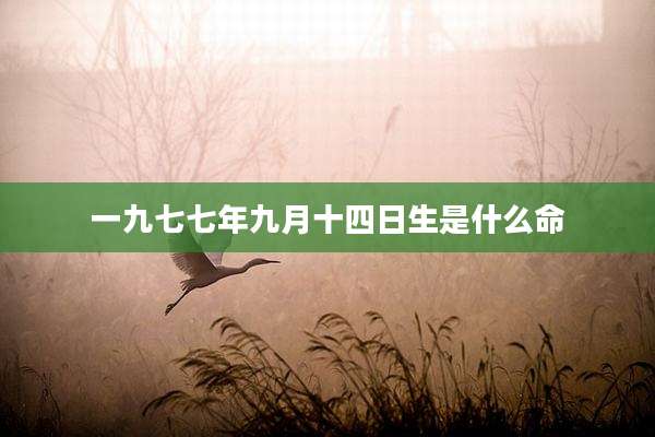 一九七七年九月十四日生是什么命