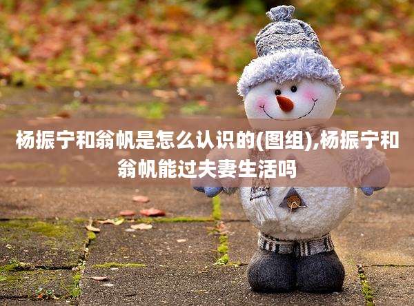 杨振宁和翁帆是怎么认识的(图组),杨振宁和翁帆能过夫妻生活吗