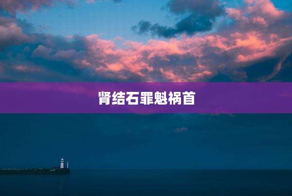 肾结石罪魁祸首