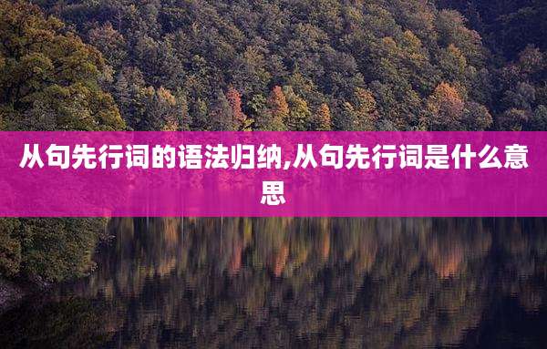 从句先行词的语法归纳,从句先行词是什么意思