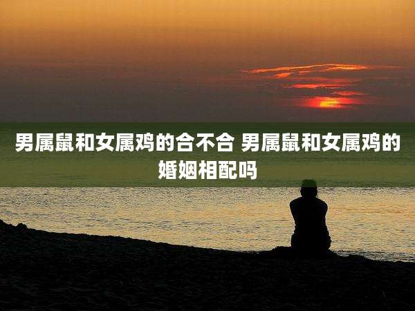 男属鼠和女属鸡的合不合 男属鼠和女属鸡的婚姻相配吗