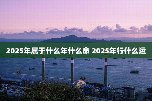 2025年属于什么年什么命 2025年行什么运