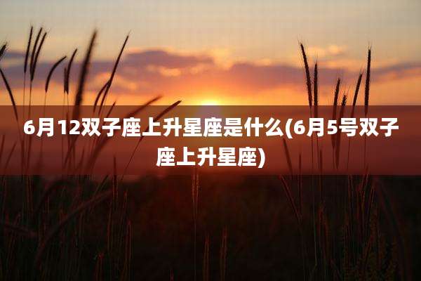 6月12双子座上升星座是什么(6月5号双子座上升星座)