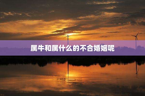 属牛和属什么的不合婚姻呢