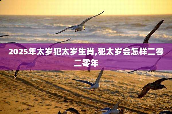 2025年太岁犯太岁生肖,犯太岁会怎样二零二零年