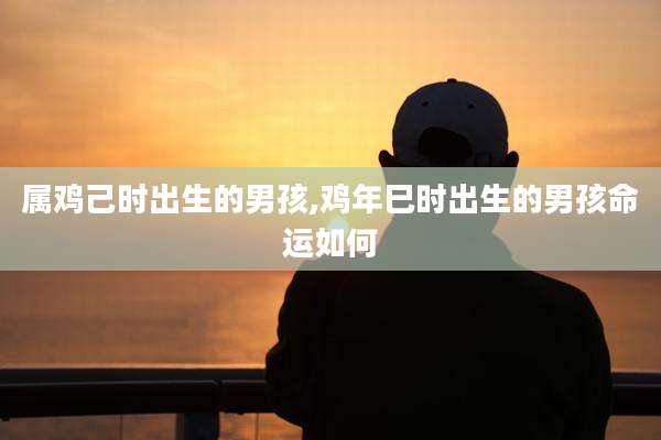 属鸡己时出生的男孩,鸡年巳时出生的男孩命运如何