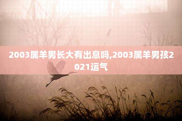 2003属羊男长大有出息吗,2003属羊男孩2021运气