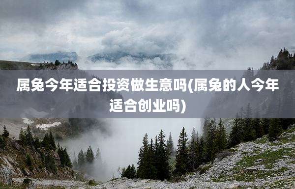 属兔今年适合投资做生意吗(属兔的人今年适合创业吗)