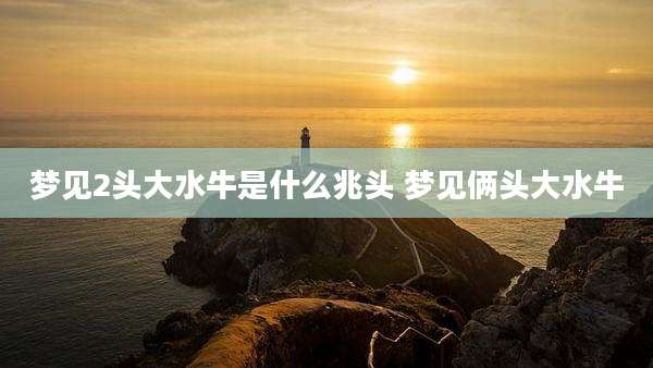 梦见2头大水牛是什么兆头 梦见俩头大水牛