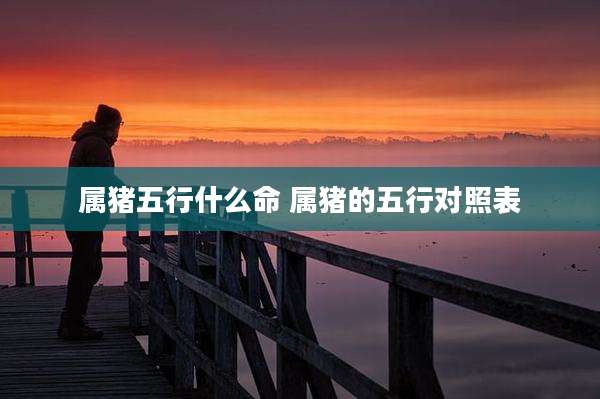 属猪五行什么命 属猪的五行对照表