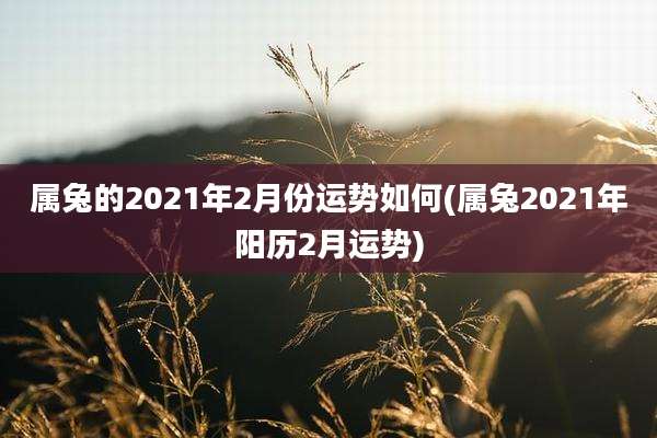 属兔的2021年2月份运势如何(属兔2021年阳历2月运势)