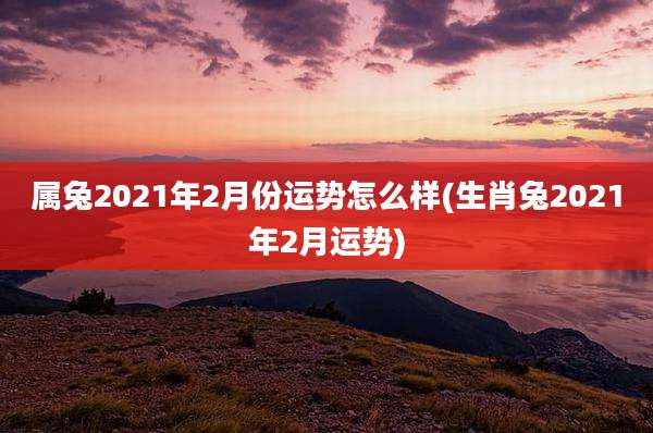 属兔2021年2月份运势怎么样(生肖兔2021年2月运势)
