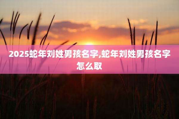 2025蛇年刘姓男孩名字,蛇年刘姓男孩名字怎么取