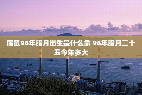 属鼠96年腊月出生是什么命 96年腊月二十五今年多大