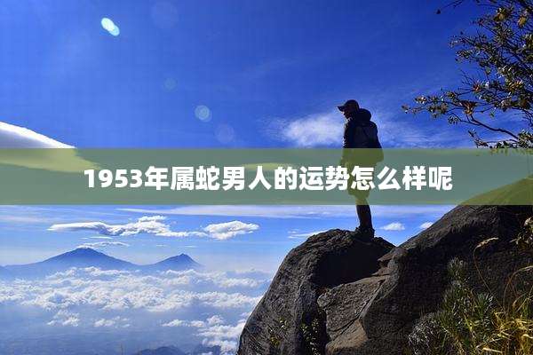1953年属蛇男人的运势怎么样呢
