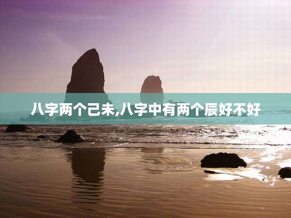 八字两个己未,八字中有两个辰好不好
