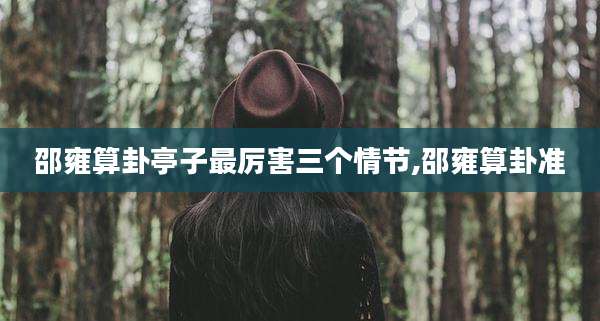邵雍算卦亭子最厉害三个情节,邵雍算卦准