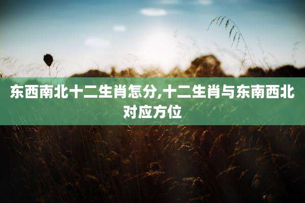 东西南北十二生肖怎分,十二生肖与东南西北对应方位