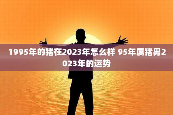 1995年的猪在2023年怎么样 95年属猪男2023年的运势