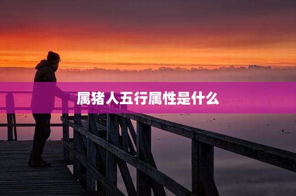 属猪人五行属性是什么