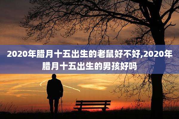 2020年腊月十五出生的老鼠好不好,2020年腊月十五出生的男孩好吗