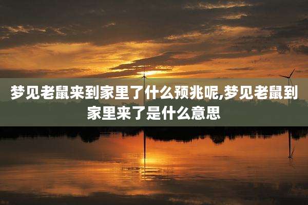 梦见老鼠来到家里了什么预兆呢,梦见老鼠到家里来了是什么意思