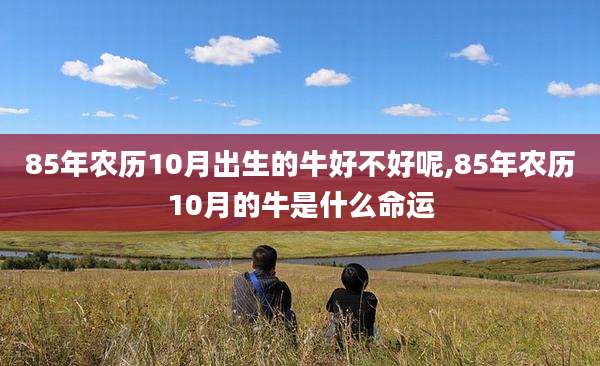 85年农历10月出生的牛好不好呢,85年农历10月的牛是什么命运