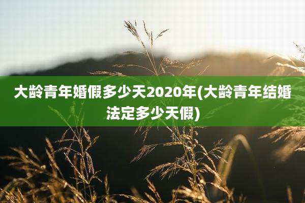 大龄青年婚假多少天2020年(大龄青年结婚法定多少天假)