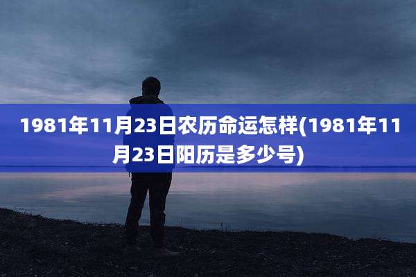 1981年11月23日农历命运怎样(1981年11月23日阳历是多少号)