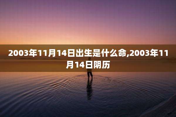 2003年11月14日出生是什么命,2003年11月14日阴历