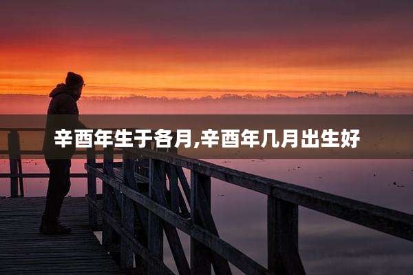 辛酉年生于各月,辛酉年几月出生好
