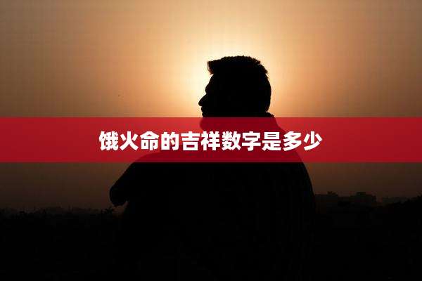 饿火命的吉祥数字是多少