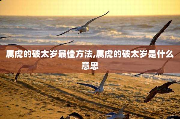 属虎的破太岁最佳方法,属虎的破太岁是什么意思