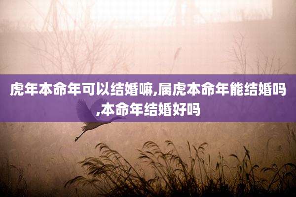 虎年本命年可以结婚嘛,属虎本命年能结婚吗,本命年结婚好吗