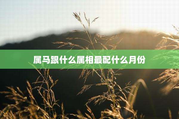 属马跟什么属相最配什么月份