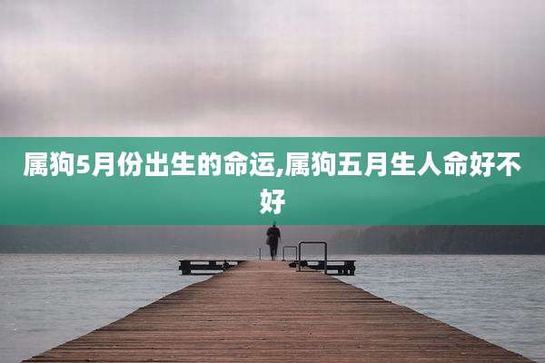 属狗5月份出生的命运,属狗五月生人命好不好