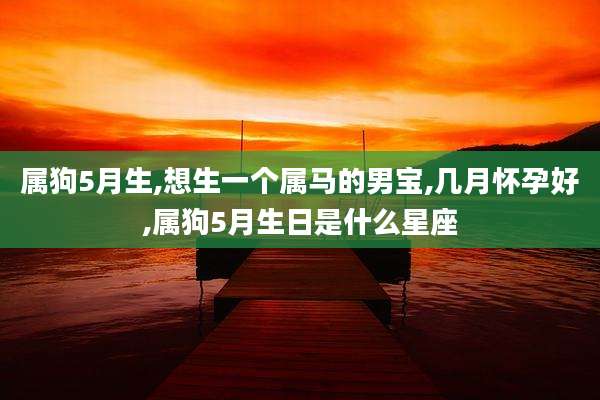 属狗5月生,想生一个属马的男宝,几月怀孕好,属狗5月生日是什么星座