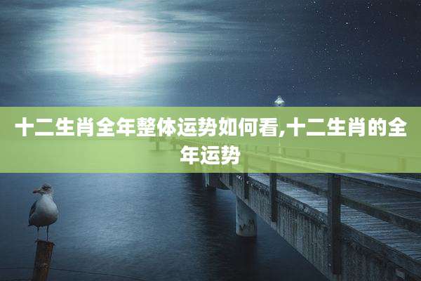 十二生肖全年整体运势如何看,十二生肖的全年运势