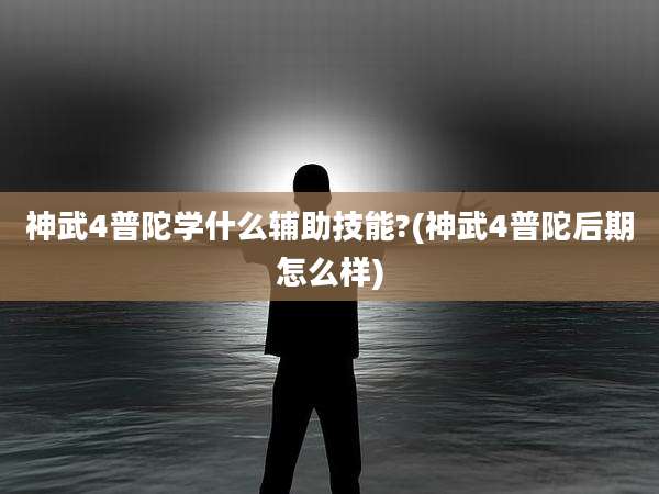 神武4普陀学什么辅助技能?(神武4普陀后期怎么样)