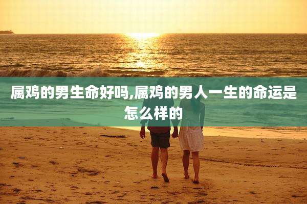 属鸡的男生命好吗,属鸡的男人一生的命运是怎么样的